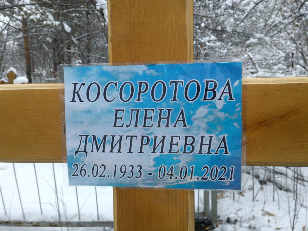 Косоротова Елена Дмитриевна