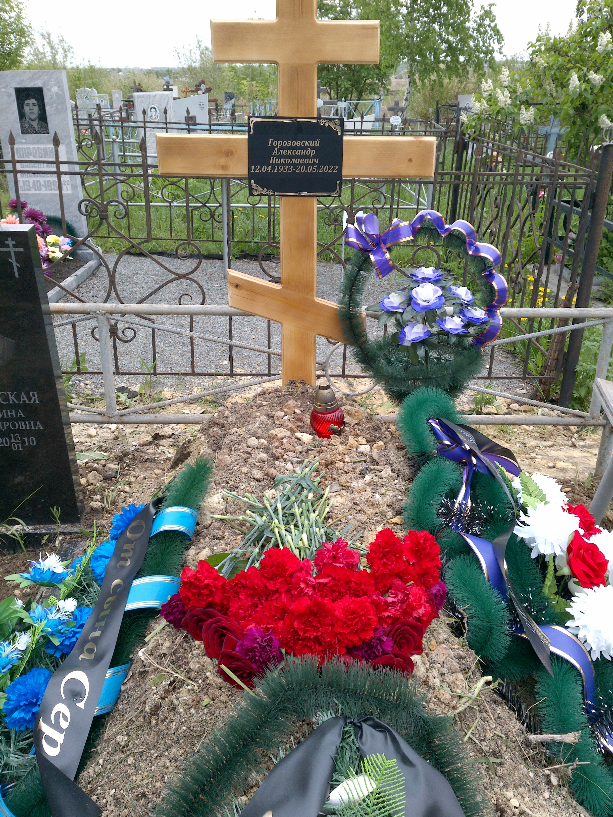 Горозовский Александр Николаевич