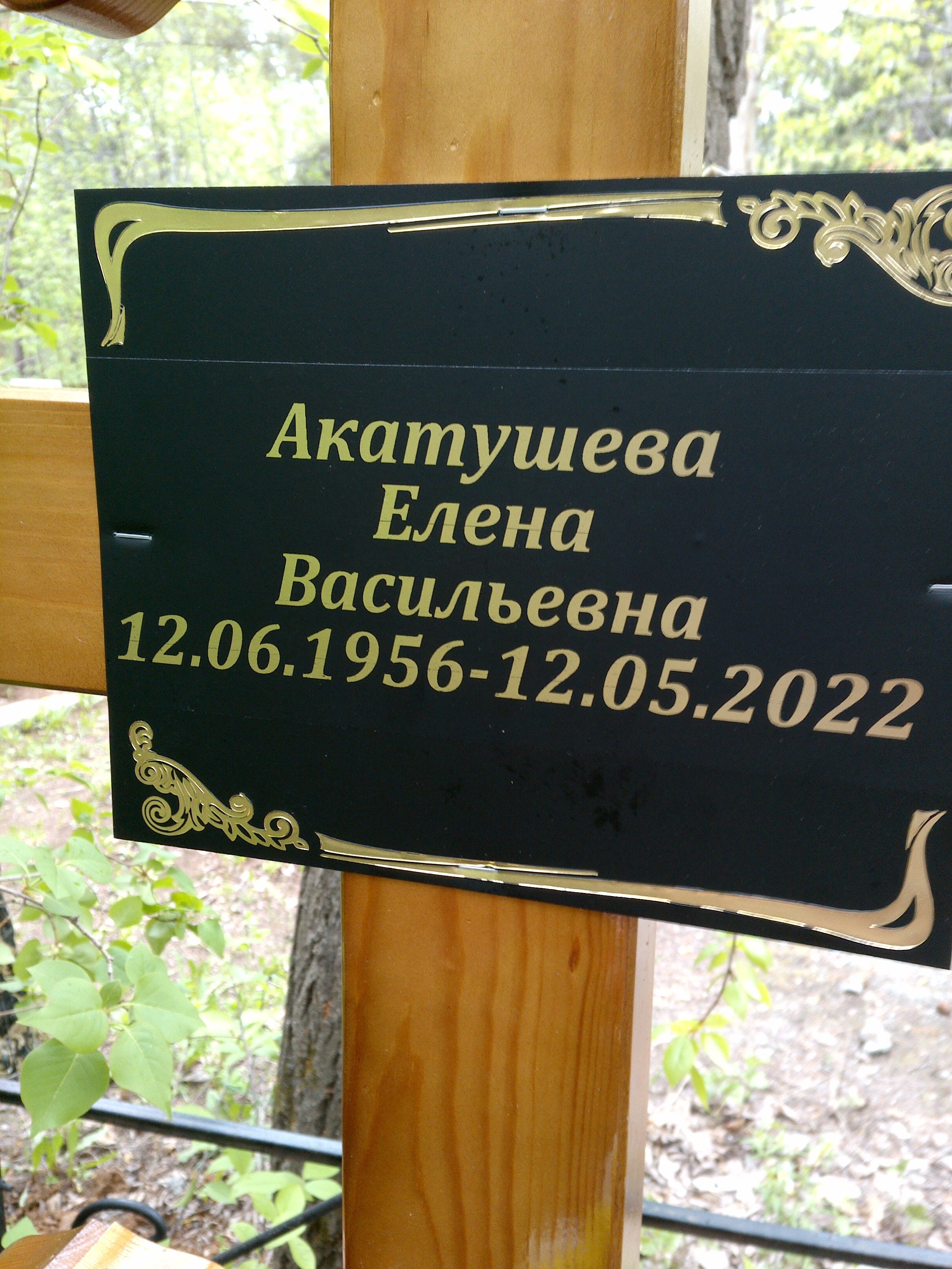 Акатушева Елена Васильевна