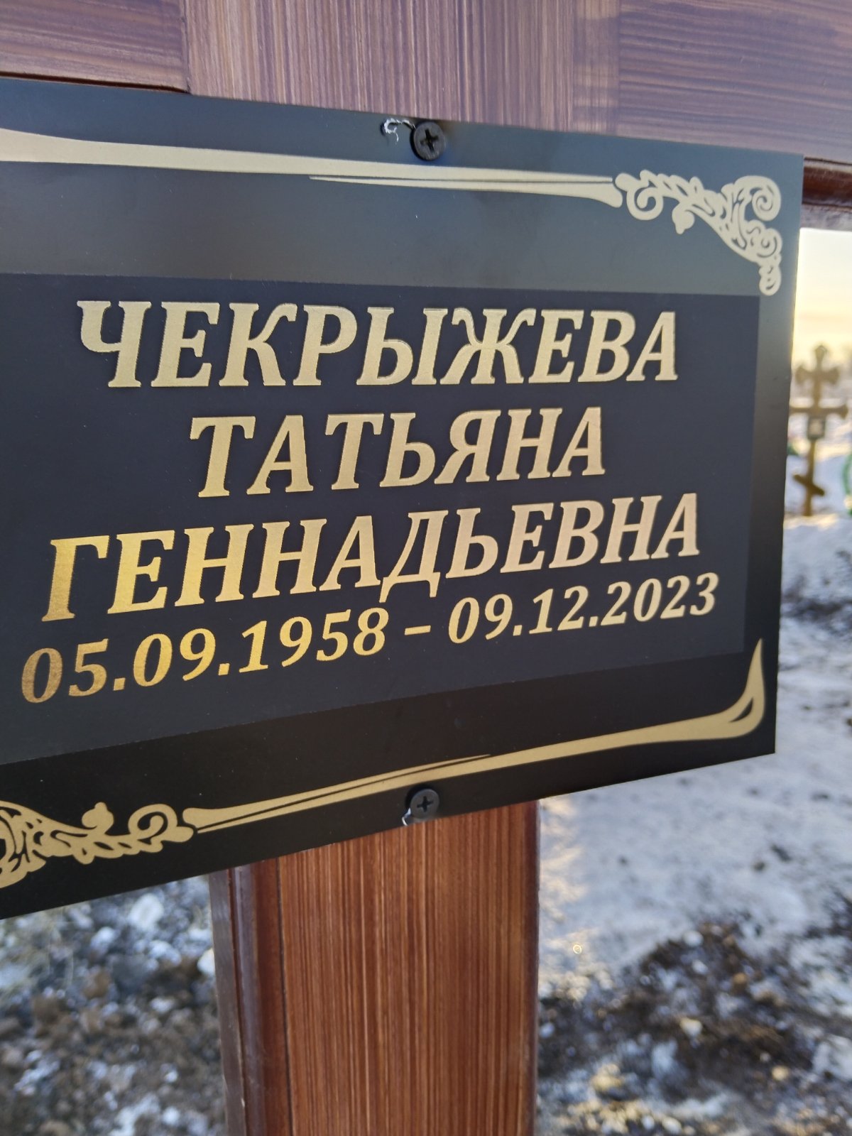 Чекрыжева Татьяна Геннадьевна