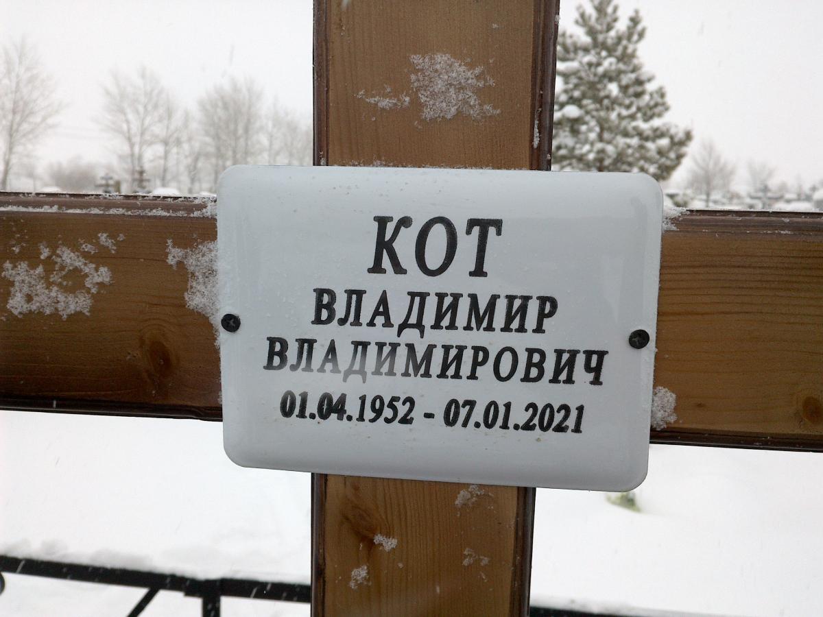 Кот Владимир Владимирович